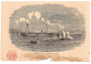 Wrecks of the "Caduceus" and the steamer "Melbourne"