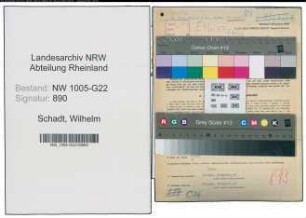 Entnazifizierung Wilhelm Schadt , geb. 17.10.1895 (Kaufmann)