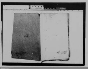 Bestätigung der adligen Geburt des Johann Georg Holzappel, genannt Melander, in Oberhadamar