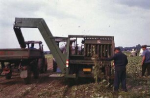 Gurkenerntemaschine VU