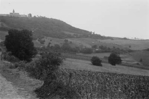 Leopoldsberg : Blick auf den Leopoldsberg