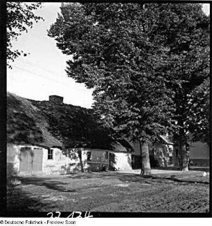 Rügen? Reetgedecktes Haus (Scheune?)