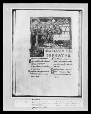 Vita Radegundis des Bischofs Fortunat — Radegundis lässt einen vertrockneten Lorbeerbaum durch ihr Gebet wieder grünen, Folio 37v