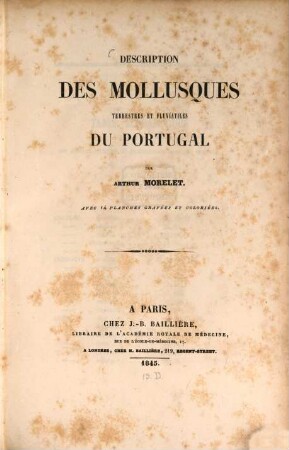 Description des mollusques terrestres et fluviatiles du Portugal