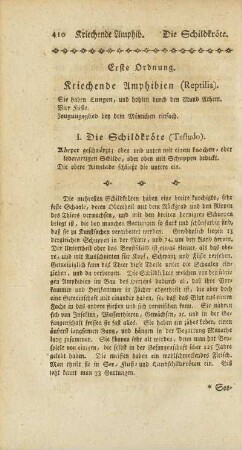 I. Die Schildkröte