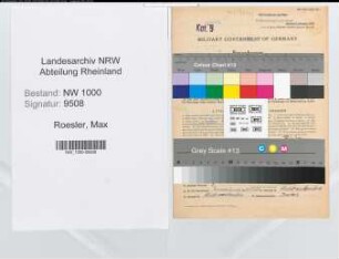 Entnazifizierung Max Roesler, geb. 24.12.1898 (Statistiker)