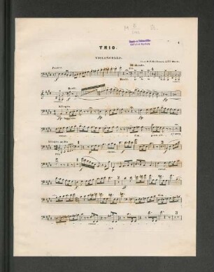 Trio. Violoncello.