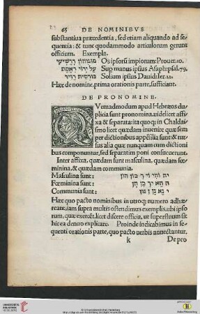 De pronominibus Chaldaicis