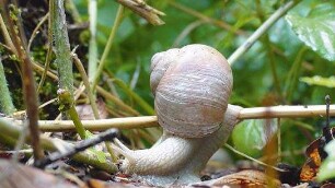 Slow - Langsam ist das neue Schnell