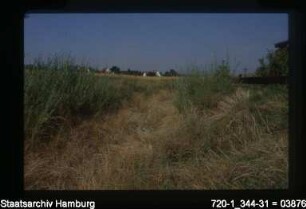 Rückhaltebecken Weiherheide, Sinstorf