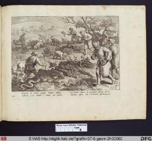 Schlangenjagd