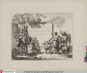 Diversa Animalia Quadrupedia