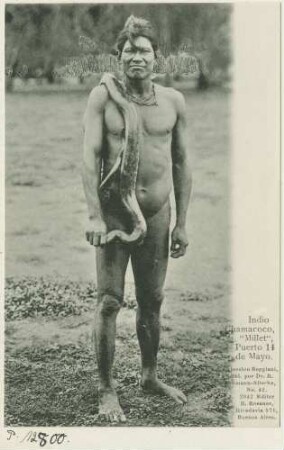 Indio Chamacoco, "Millet", Puerto 14 de Mayo