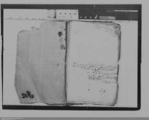 Witwe Ernestine Charlotte Schurer ./. Prinzessin Johannette Agnes von Nassau-Diez: Geldforderungen