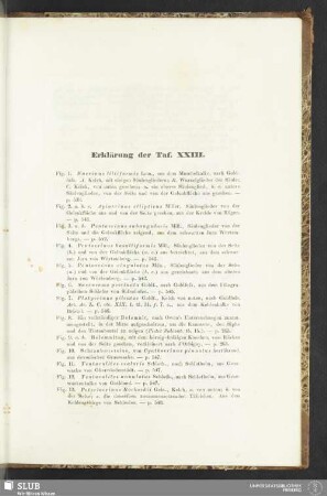 Erklärung der Taf. XXIII