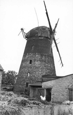 Großräschen-Dörrwalde. Turmholländer, Baujahr 1854