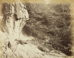 Mittelgrundstudie: Felsen und Terrain: Felsblock mit Baumschlag