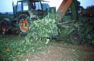 Fotografie: Erntetechnik, Zuckerrübe, Frontköpfer, Rückfahreinrichtung