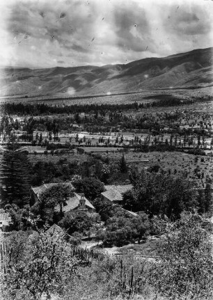 Finca mit Weingärten : Blick auf eine Landschaft mit Gebäude