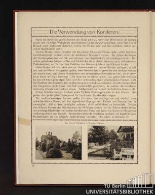 Die Verwendung von Koniferen.