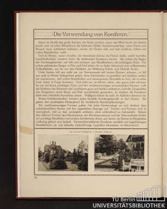 Die Verwendung von Koniferen.