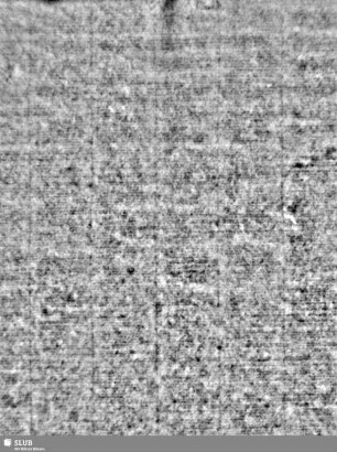 Lilienschild + IESV / LW = Bd.1, S.243/244