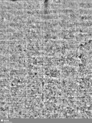 Lilienschild + IESV / LW = Bd.1, S.243/244