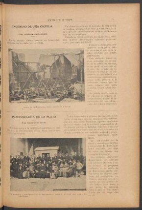 Incendio de una casilla - Una criatura carbonizada