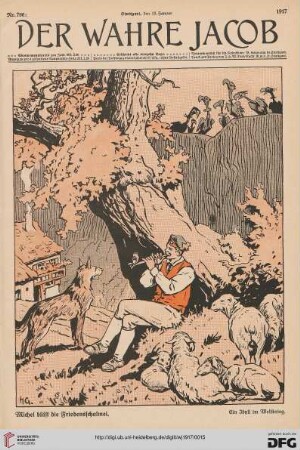 Nr. 796 (19. Januar 1917)
