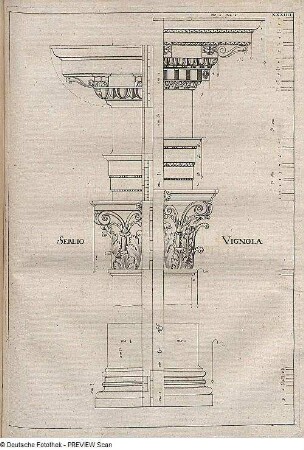 Vergleich der korinthischen Ordnungen des Vignola und Sebastiano Serlio