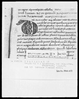 Epiphanius Latinus, Interpretatio evangeliorum — Initiale D(ominus enim), Folio 123recto