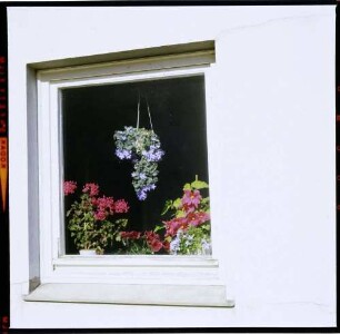 Helgoland: neue Häuser, Blumenfenster