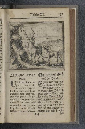 Fable XI. : Le faon, et le cerf. Ein junges Reh und der Hirsch.