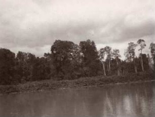 Guayasstrom bei Guayaquil
