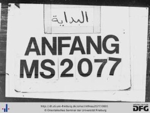 MF Mau 2077