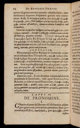 24-39, Caput VI. - Caput VIII.