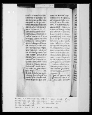 Lectionarium Cisterciense: Textseite, fol. 56v