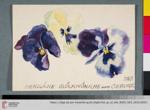 Postkarte von Elfriede Lohse-Wächtler an Gustav Adolf Lohse-Wächtler