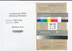 Entnazifizierung Kurt Birkholz , geb. 26.10.1902 (Stadtinspektor)