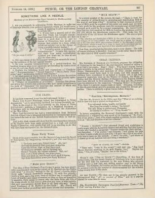 Something like a heckle. Specimen of an Examination Paper intendet for Parliamentary Candidates.