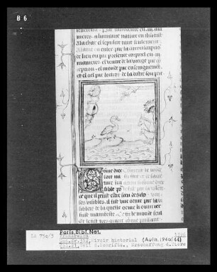 Miroir historial, fol. 21, Erschaffung der Tiere