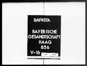 Politischer Schriftwechsel: Zuschriften des pfälzischen Geheimen Rates (Wachtendonck)