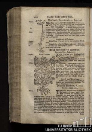 Cap. 298. Griechisch Monkraut, Lunaria Graeca.