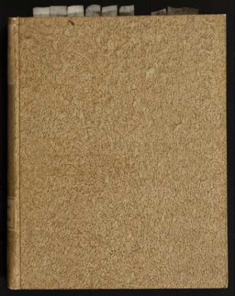 Dissertatio Philologico-Theologica De Codicibus Manuscriptis Græcis Novi Testamenti Sistens Sectionem X. Conspectus Philologiæ Sacræ