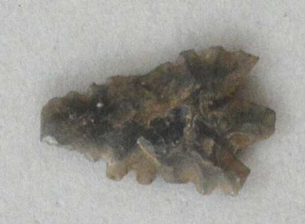 Stone arrowhead