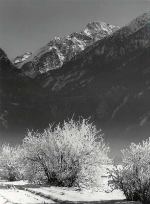 Landschaft bei Taufers in Südtirol