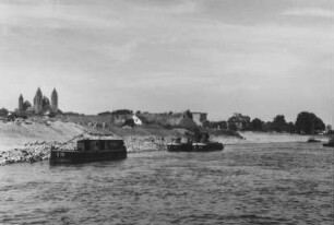 Uferabflachung "Kurve Speyer"/Rhein