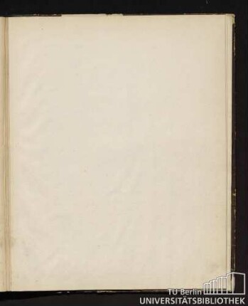 Tafel XVI. Fig. 1 bis Fig. 5a.