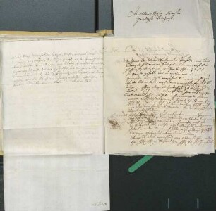 [?] an Karoline Luise von Baden (Frankfurt am Main)