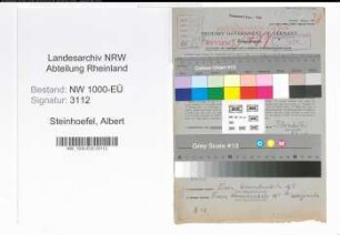 Entnazifizierung Albert Steinhoefel, geb. 15.12.1888 (Finanzinspektor)